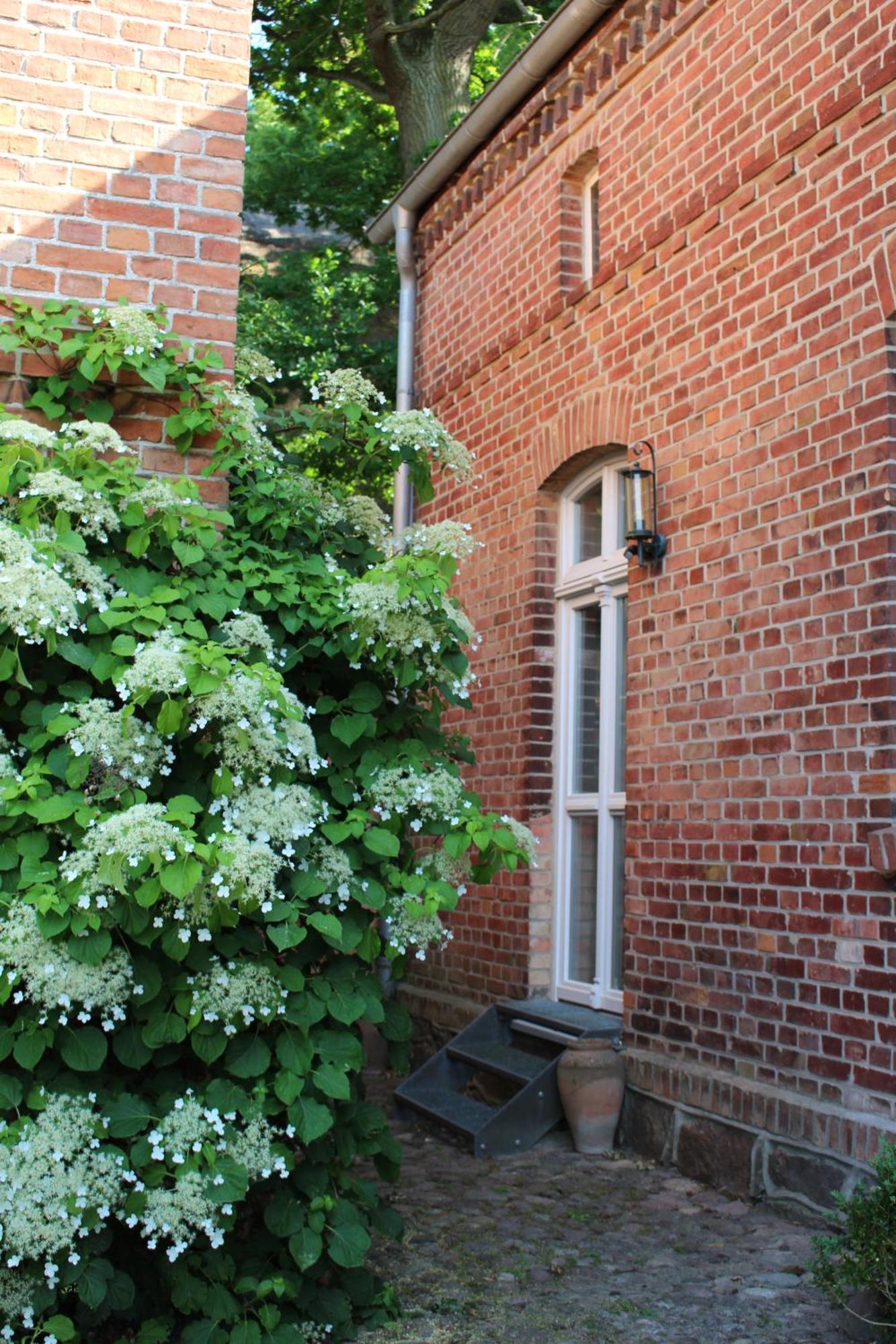 Ferienwohnung Buchholz Buchholz  Buitenkant foto