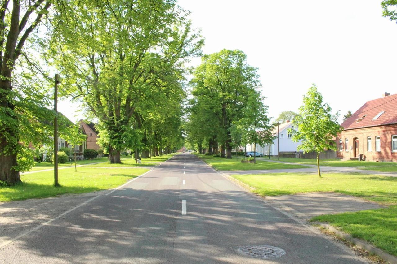 Ferienwohnung Buchholz Buchholz  Buitenkant foto